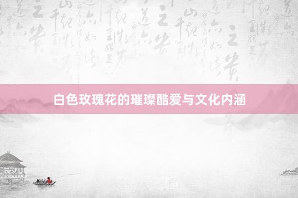 白色玫瑰花的璀璨酷爱与文化内涵