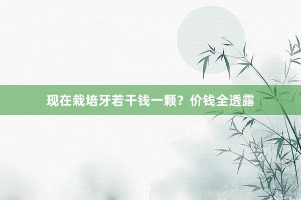 现在栽培牙若干钱一颗？价钱全透露