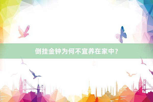 倒挂金钟为何不宜养在家中？