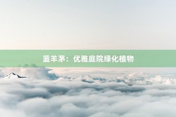 蓝羊茅：优雅庭院绿化植物